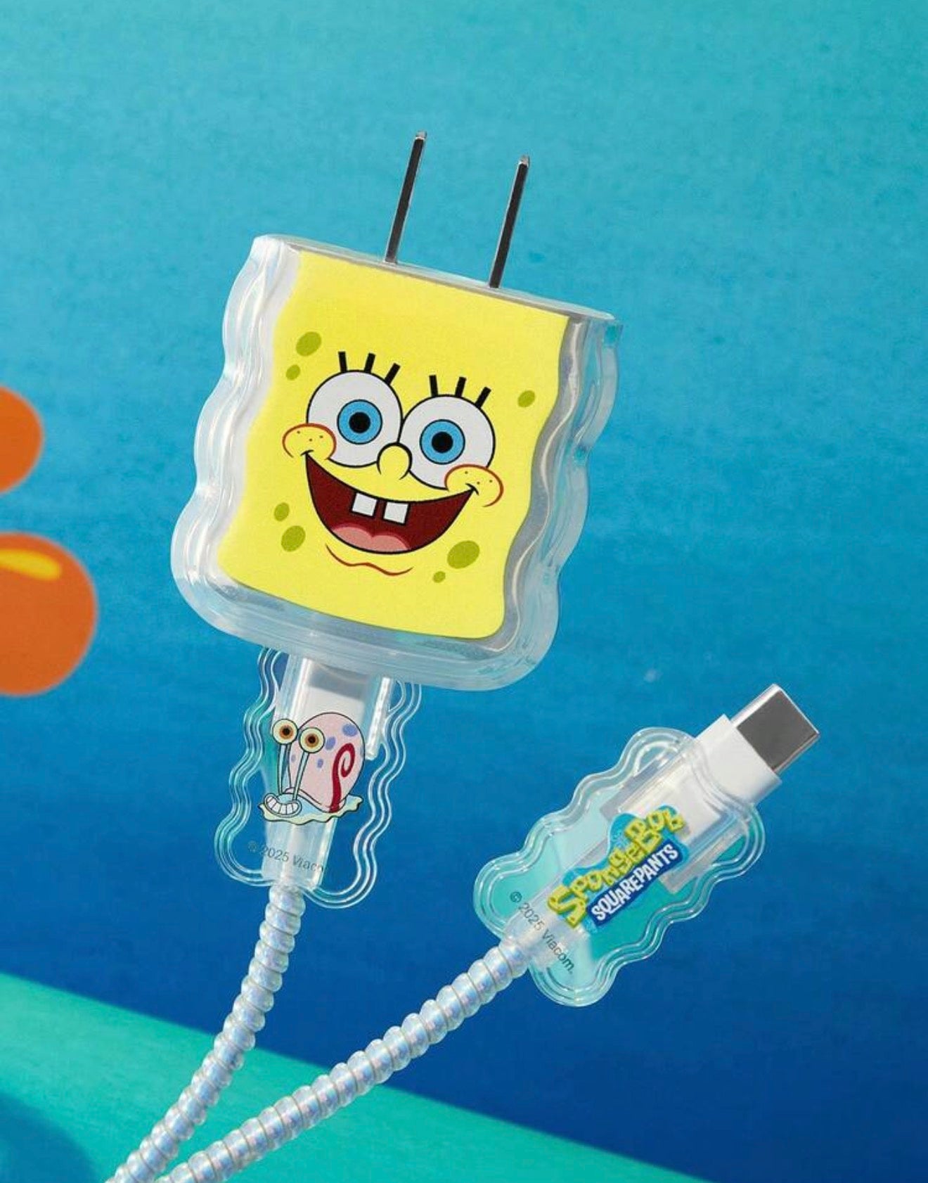 USB-C Charger Protector
