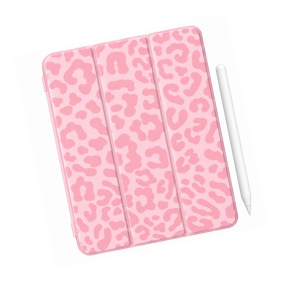 iPad Case