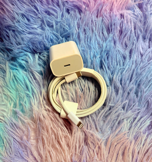 6ft Generic iPhone Fast Combo