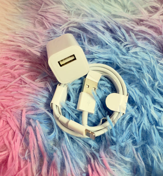 iPhone Charger Combo