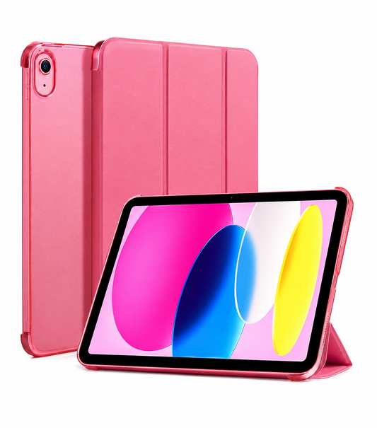 iPad Case