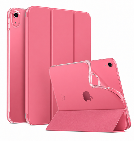 iPad Case