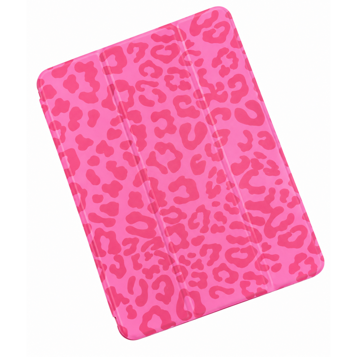 iPad Case