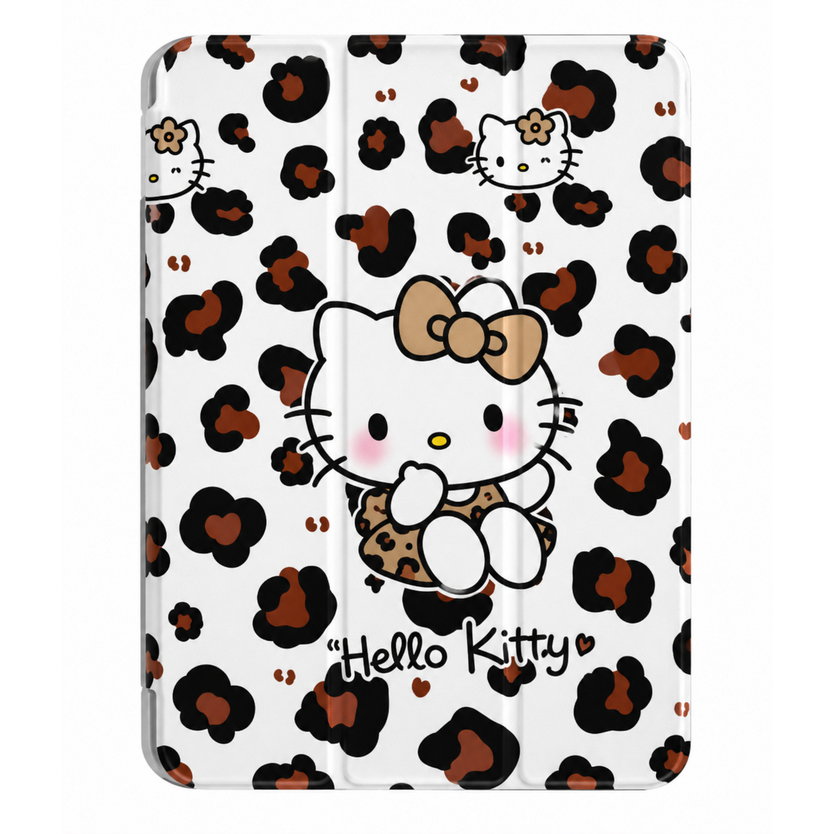 iPad Case